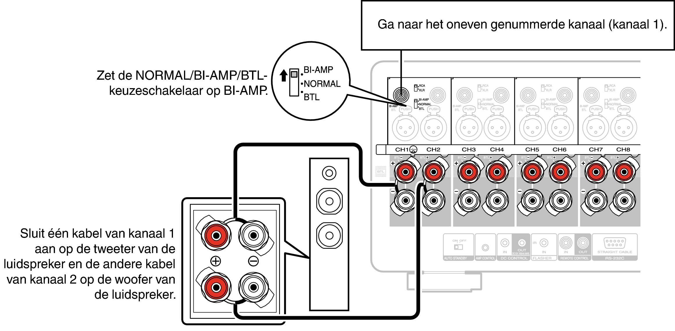 Conne SP BiAmp AMP10